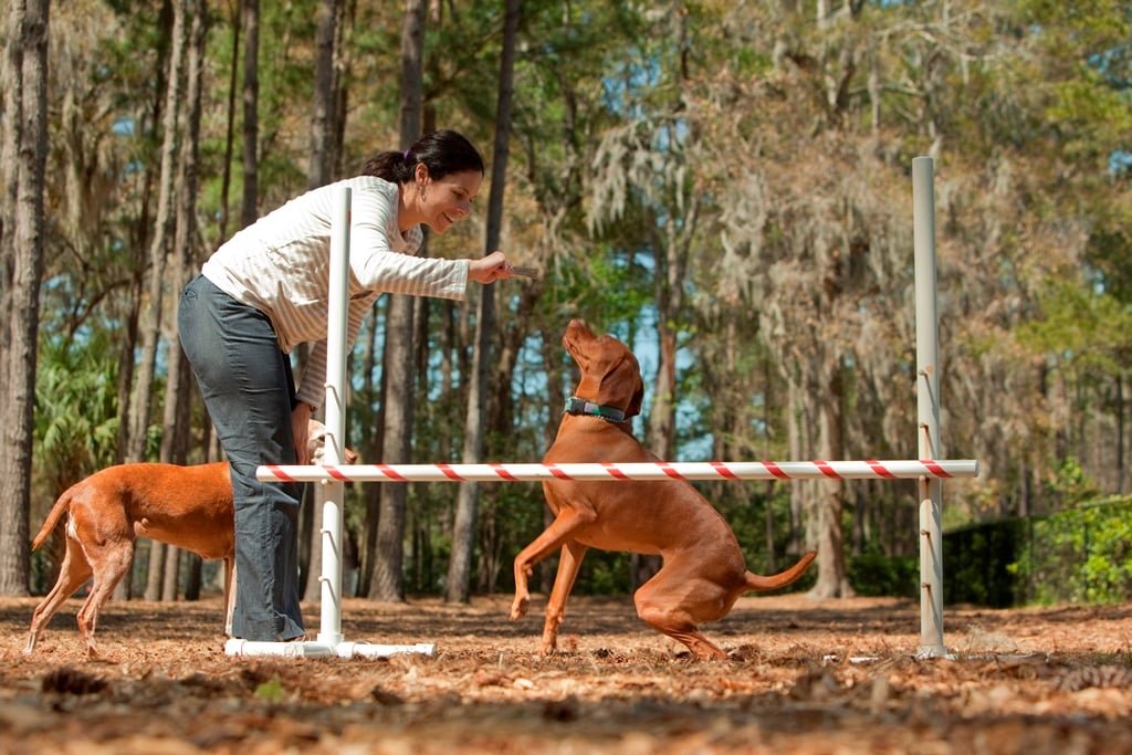 Eco-Friendly Home Upgrades That Add Value in Belfair SC