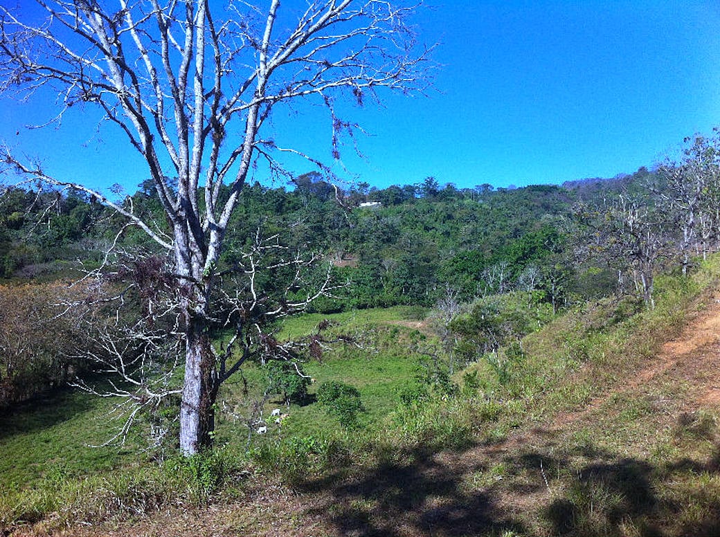 Mountain View Development Farm, Jaco, Puntarenas