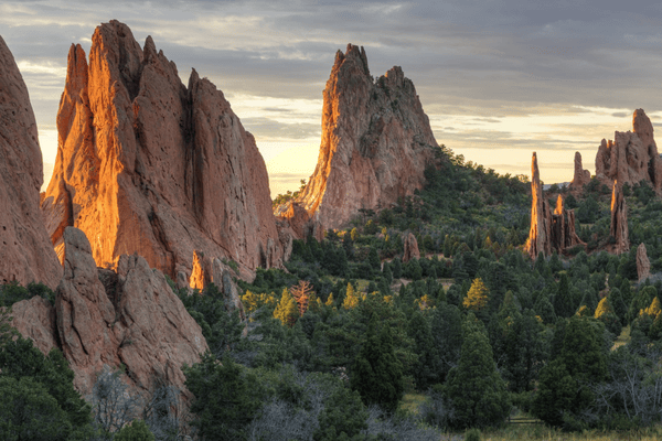 Red rock formations and pine-covered terrain at Garden of the Gods in warm golden light.