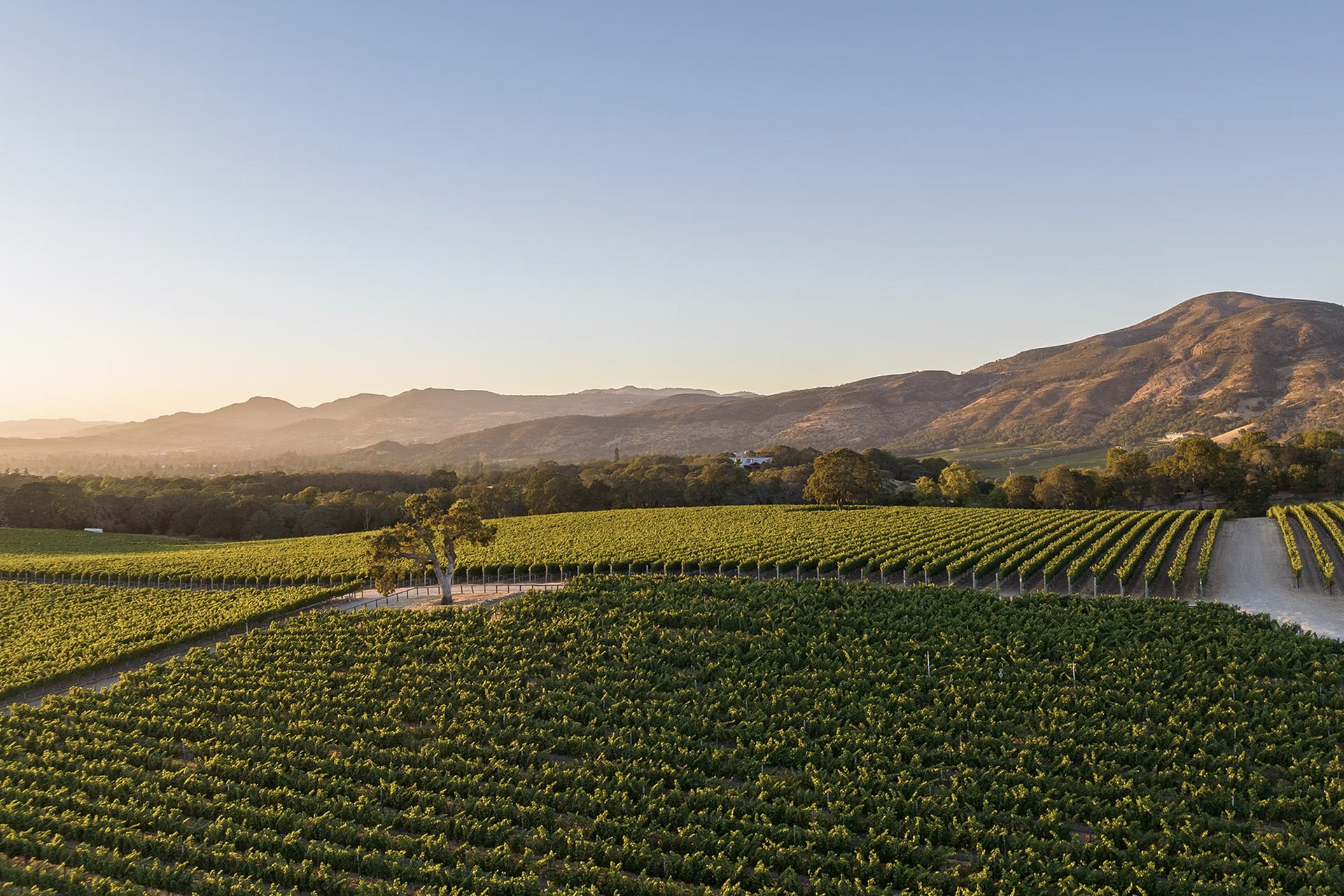 Meteor Vineyard Estate, Napa Valley