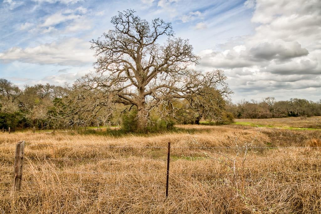 TBD Brushy Rd Fayetteville, Tx 78940