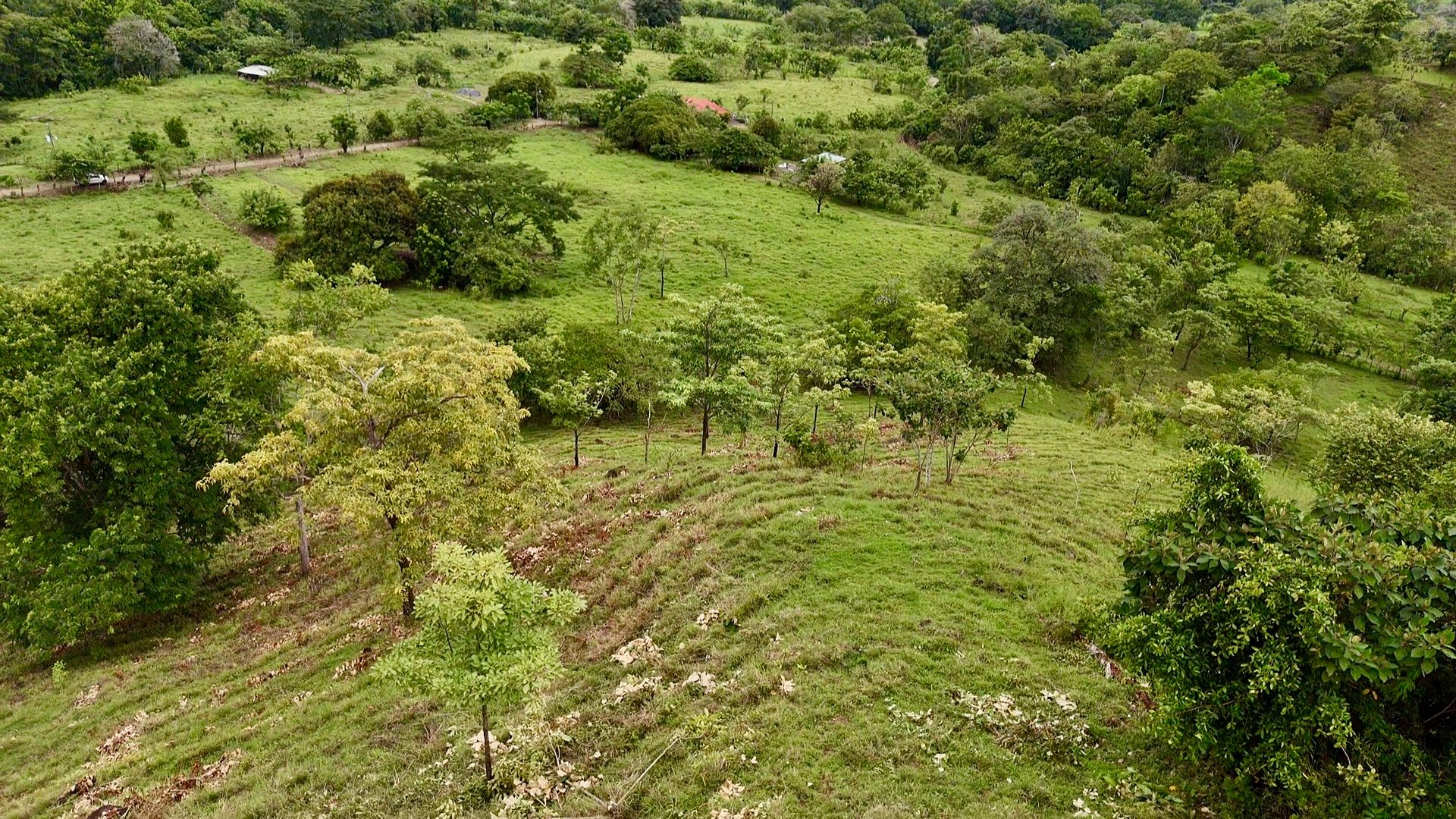 Ocean View Sanctuary in San Buenas – 4.94 Acres of Pastures & Easy Accessaccess