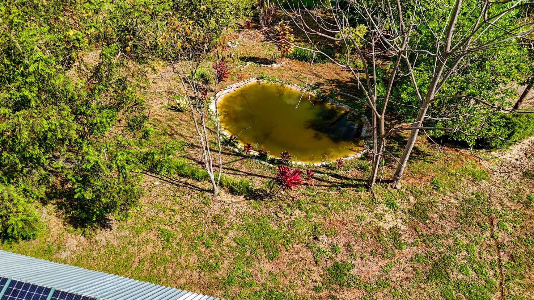 32-Acre Self-Sustainable Off-Grid Farm Near Ojochal with House, Solar Power & River