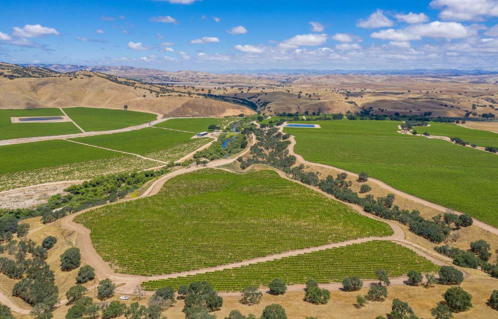 Joseph Vineyard | 76987 Nacimiento Lake Drive