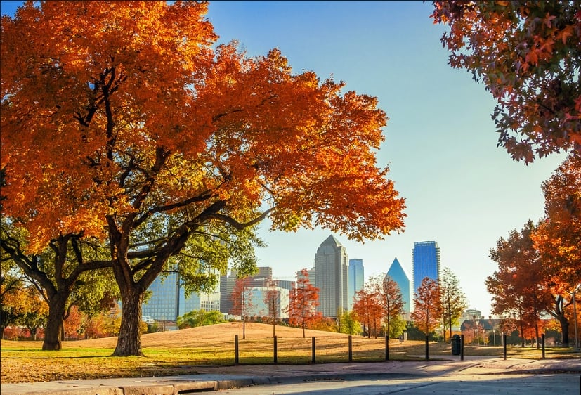 Dallas skyline beyond a grassy park, framed by orange and red autumn trees.