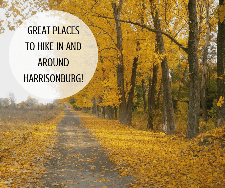 Great Places to Hike In and Around Harrisonburg!