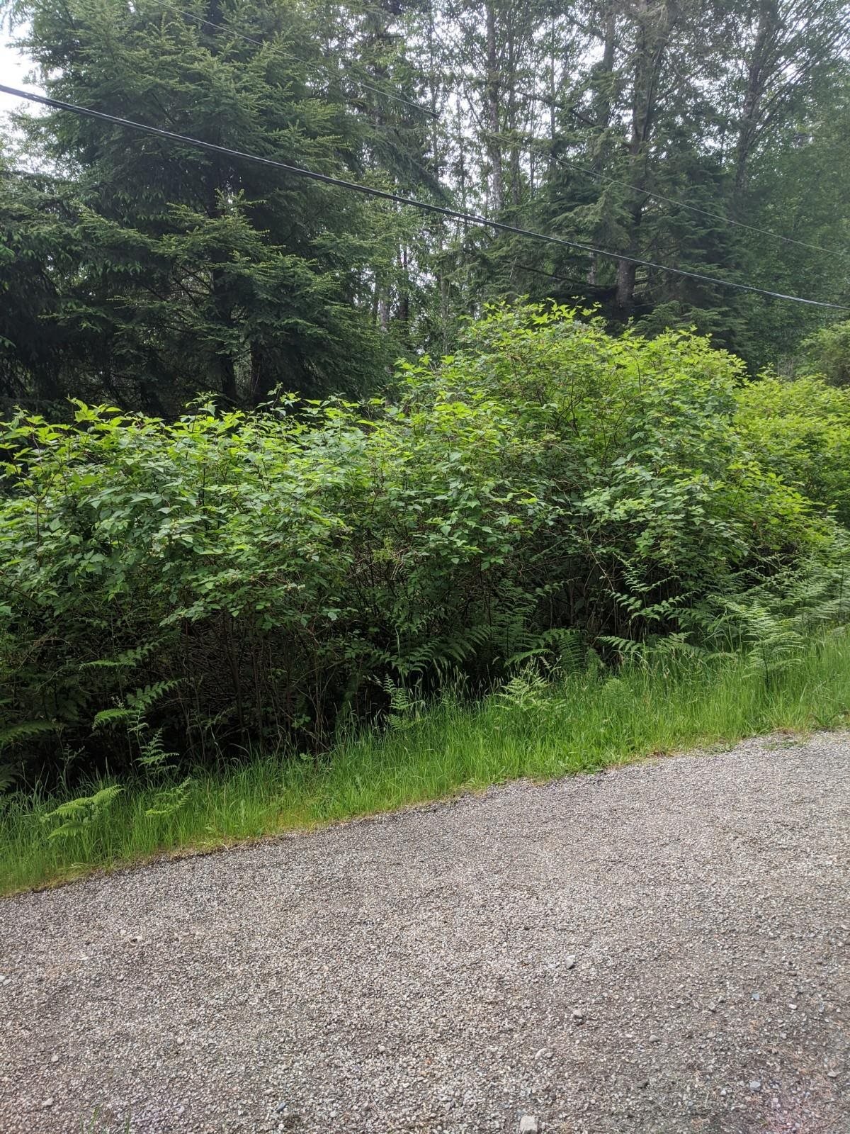Lot 62 West Bay Rd