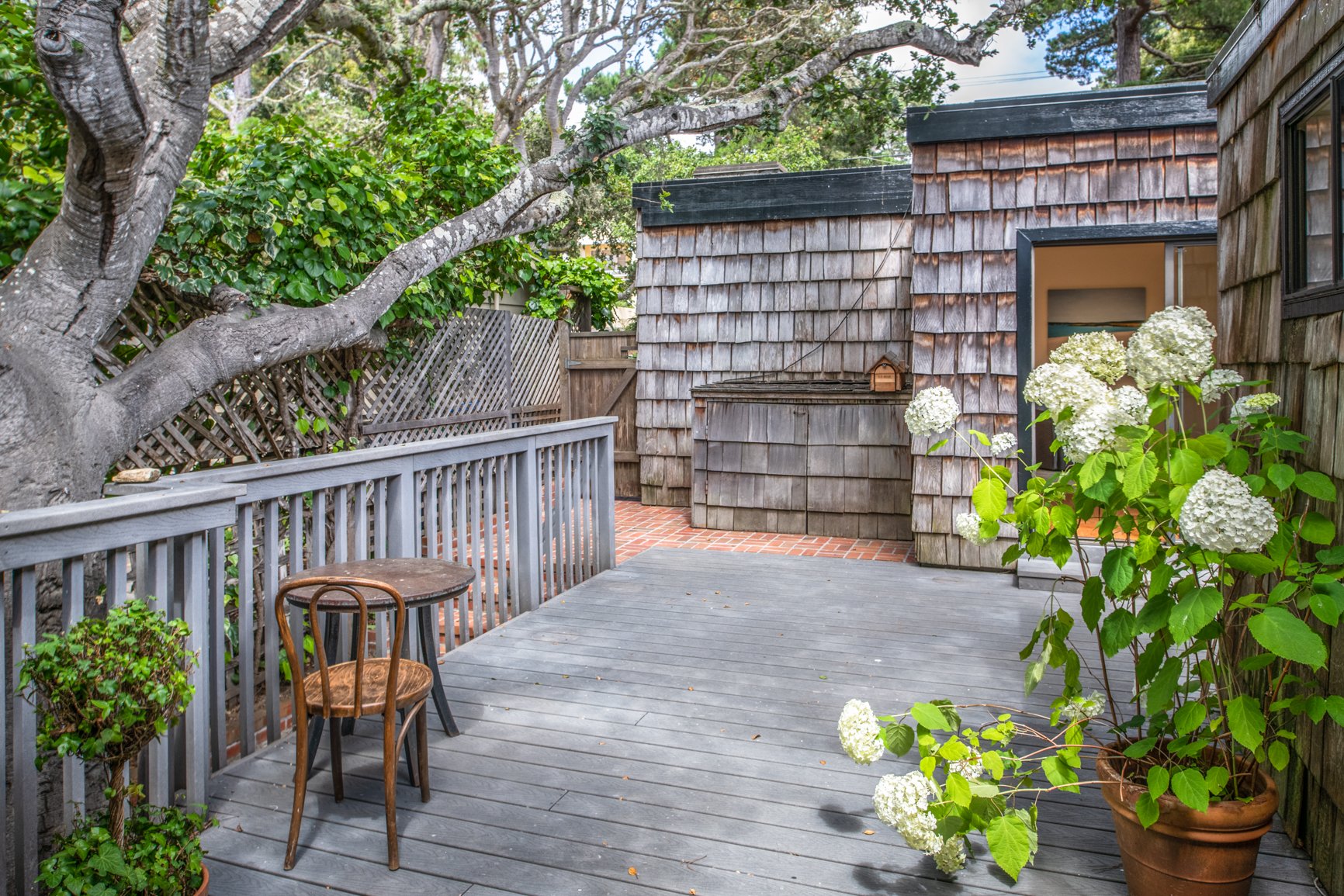 Casa Bougainville