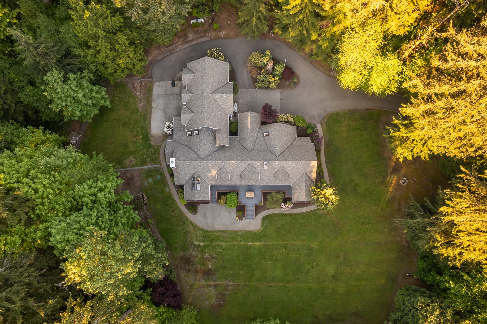 Serene in Issaquah