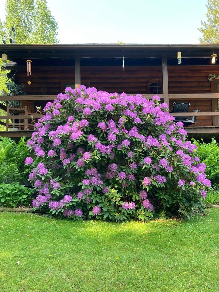 313 N. Brookland Road