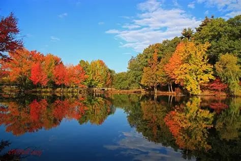 Fall Back and Winter Prep in Rhode Island: What Homeowners Should Know This November