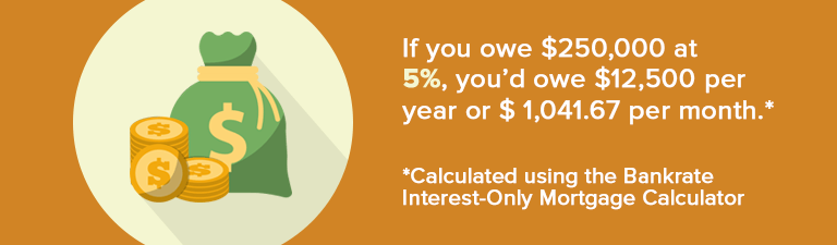 Interest-only payment example: $250,000 at 5% costs $12,500 yearly or $1,041.67 monthly.