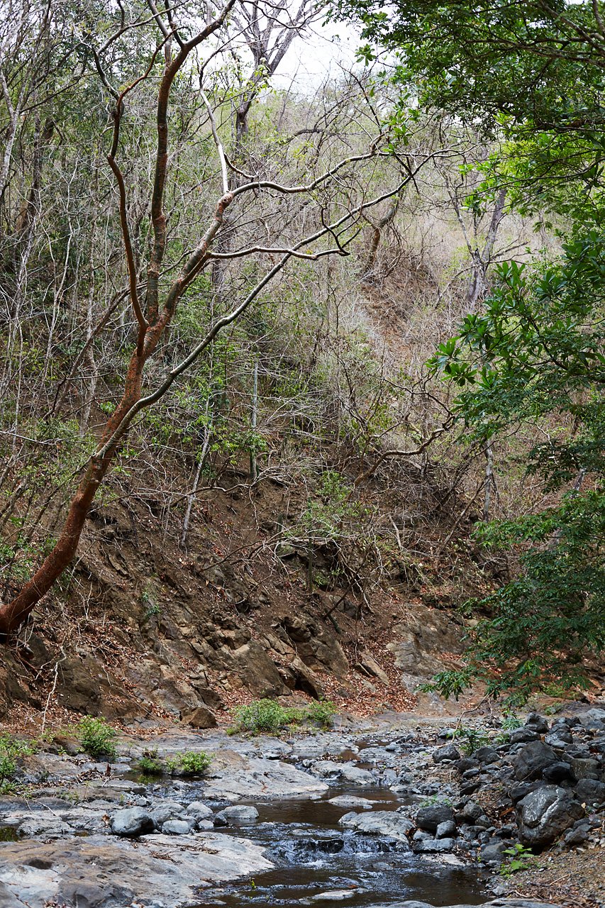 Finca Gomez | 214 Hectares | Ocean Views, Rivers & Development Potential – Guanacaste