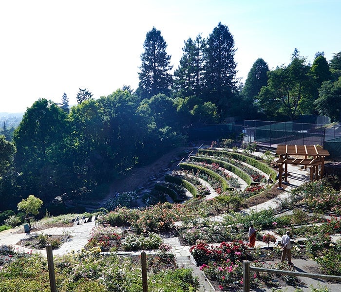 Berkeley Hills