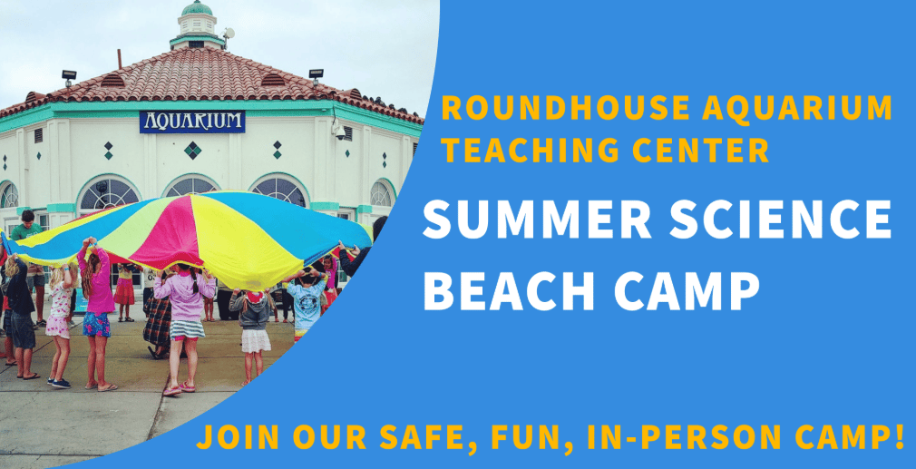 Summer Science Beach Camp