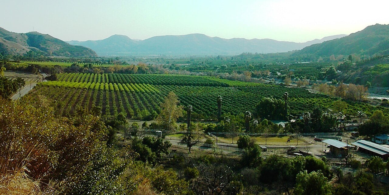 Archival panorama across Fillmore, uploaded January 2007