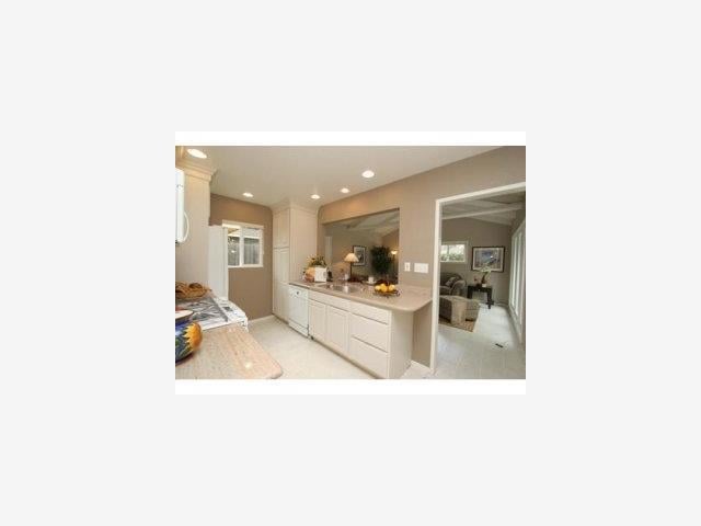 1140 Judson Drive
