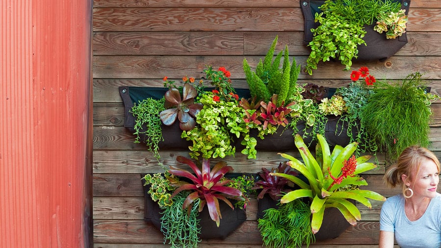 Amazing DIY Garden Projects Anyone Call Pull