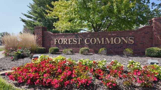 Forest Commons