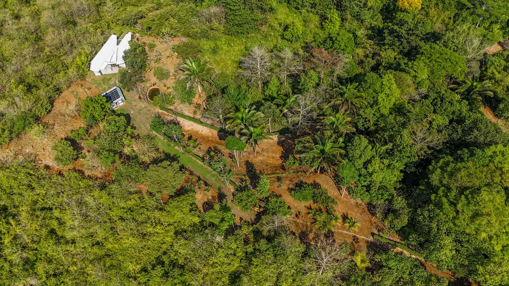 32-Acre Self-Sustainable Off-Grid Farm Near Ojochal with House, Solar Power & River