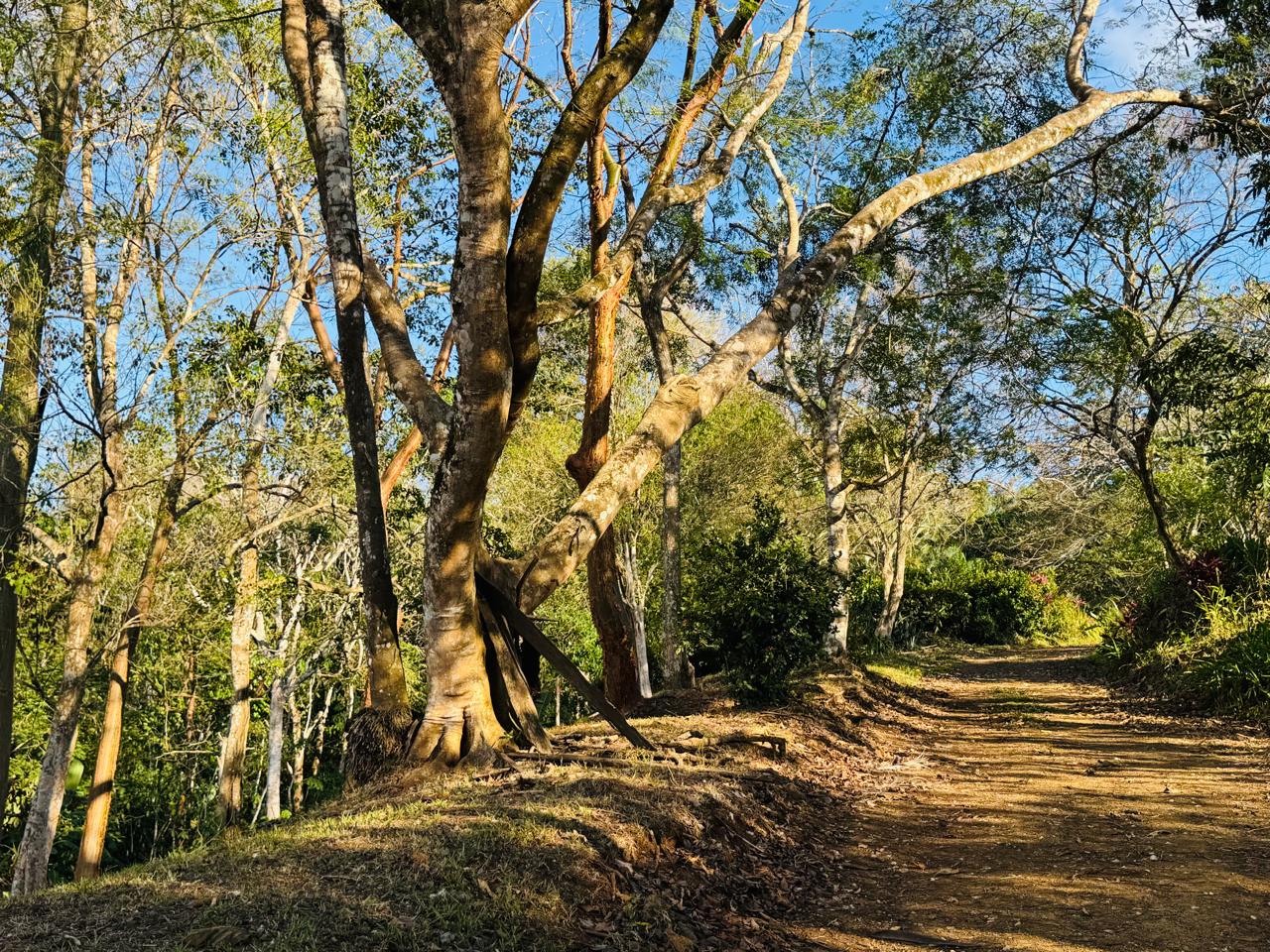Finca Herradura | 82-Hectare Ocean View Development Land Near Los Sueños, Jacó