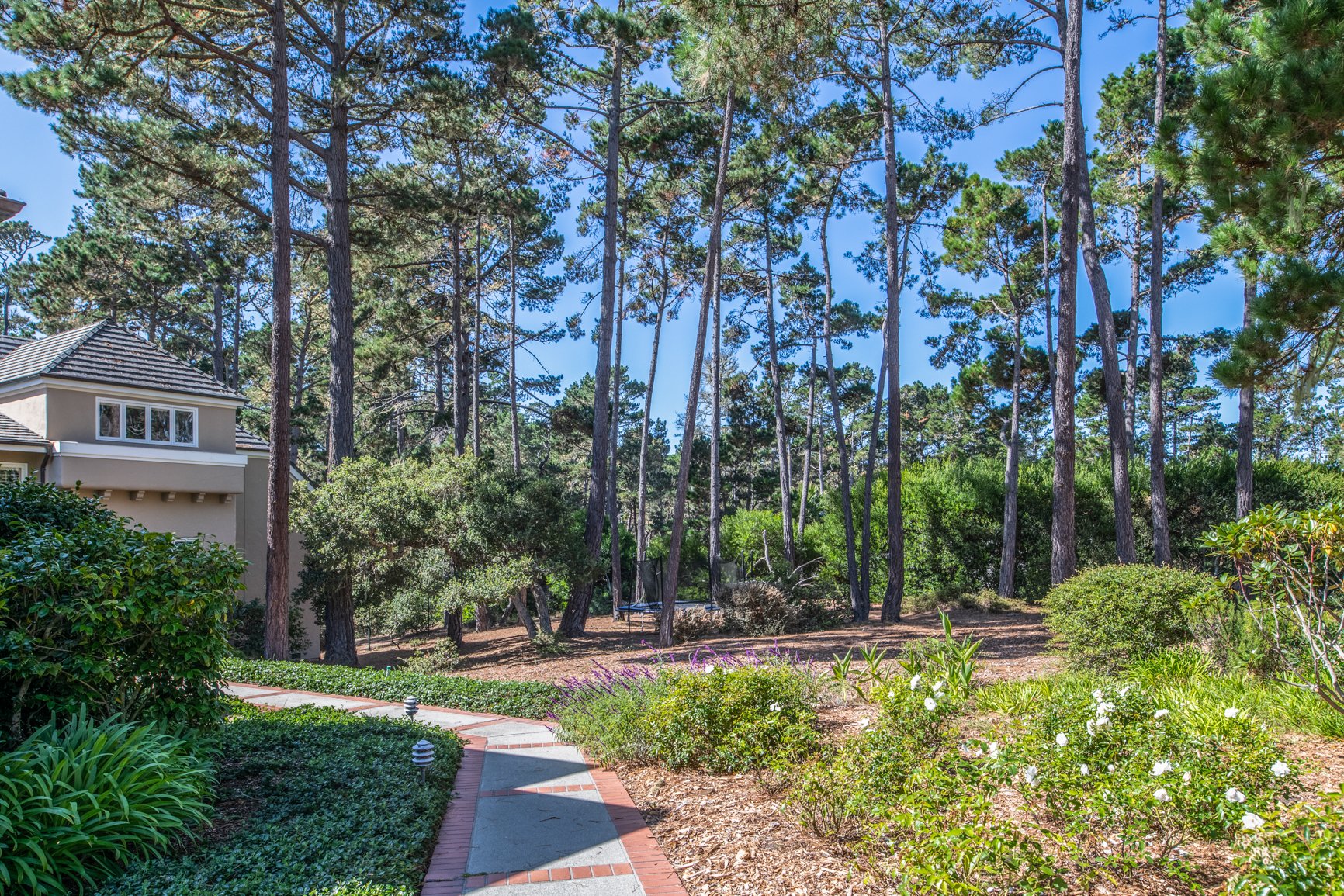1410 Viscaino Rd