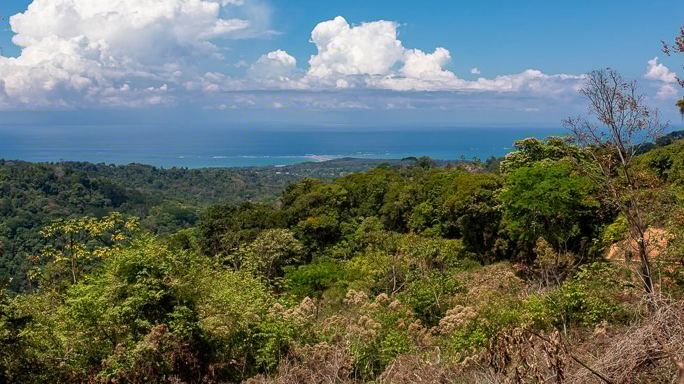 Whale Tail Views Luxury Waterfall Farm