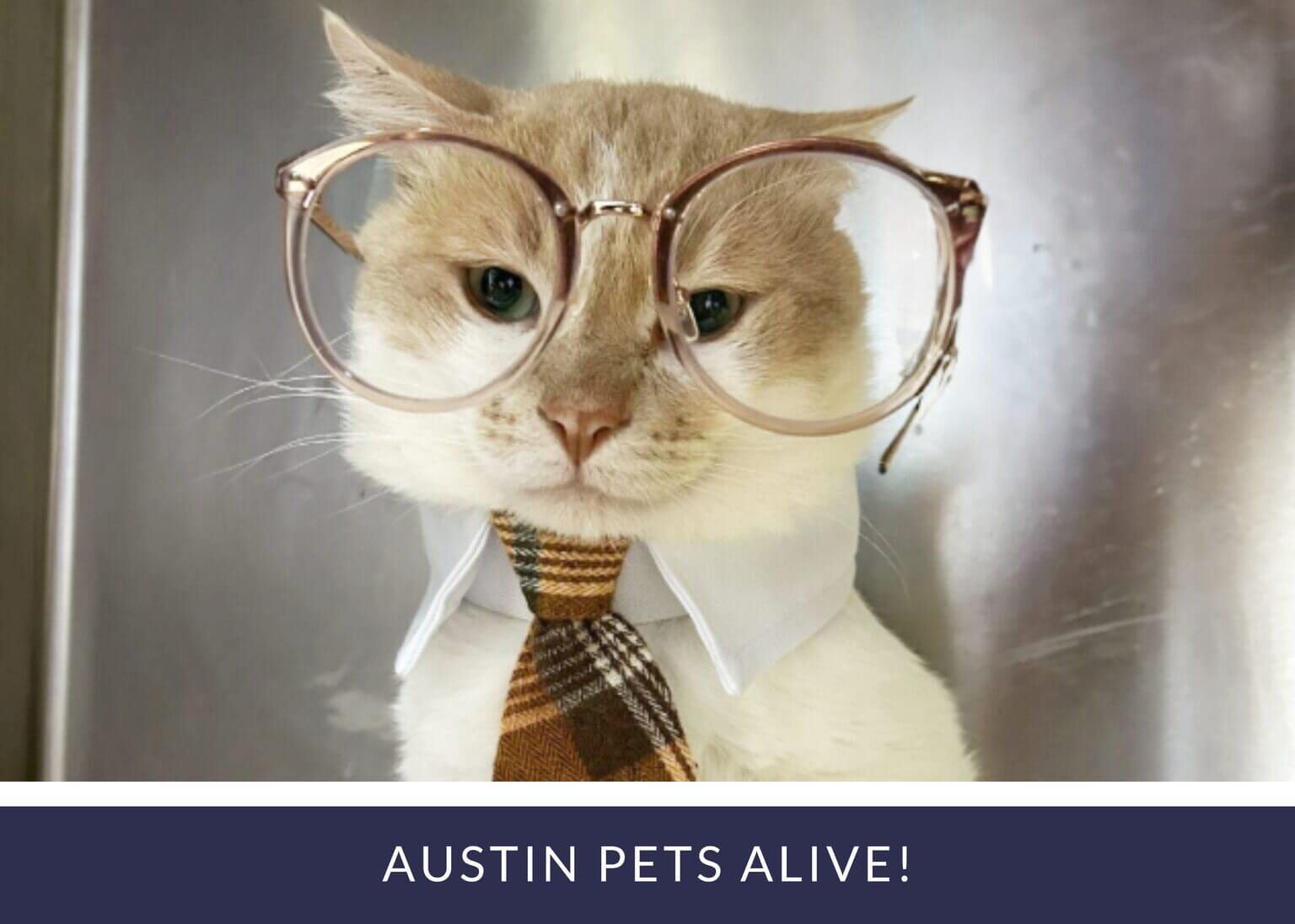 People toasting with wine glasses