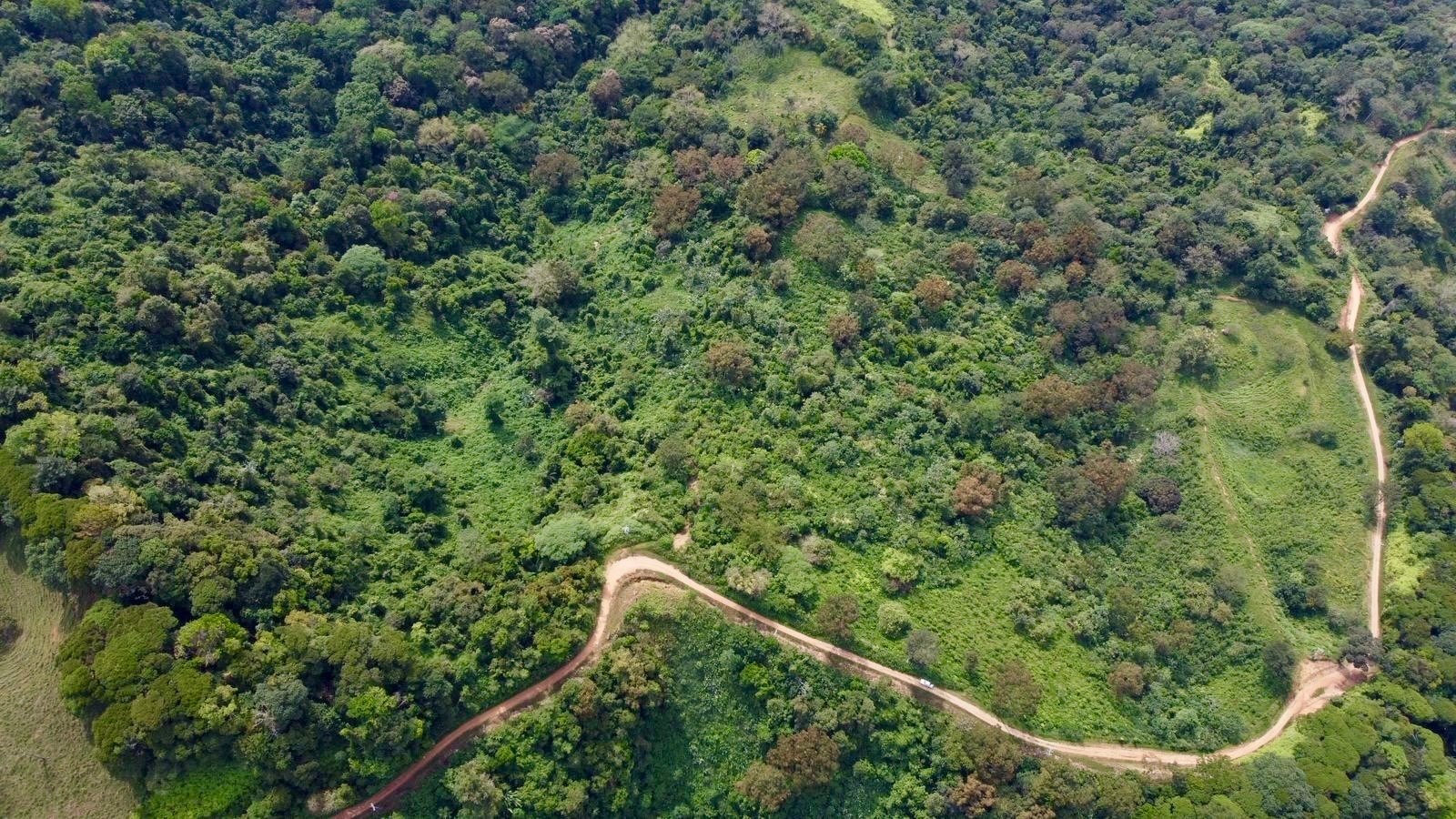 Prime Mountain Farm Land with Ocean Views and Private Waterfall in Uvita, Costa Rica