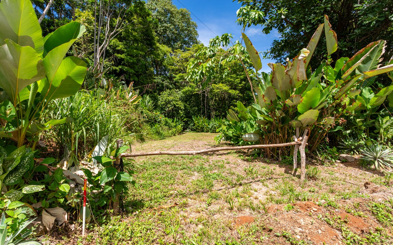 Tropical Getaway with Two Villas and Lush Gardens Near the Heart of Uvita