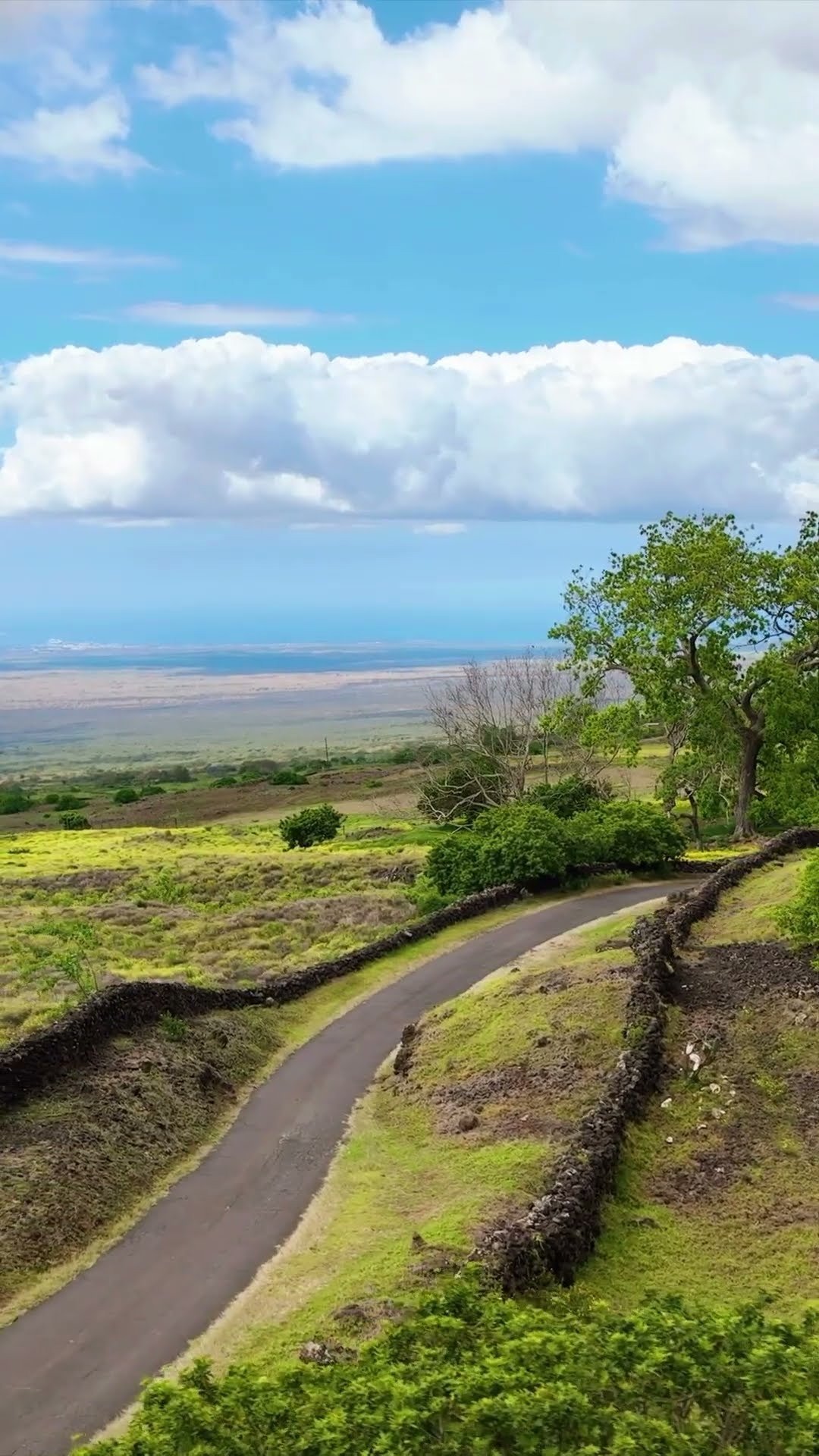 Discover the Charm of Upcountry Maui: Scenic Drives, Local Gems & Rustic Vibes