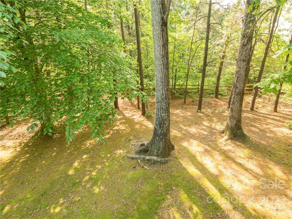 2822 Black Walnut Ln