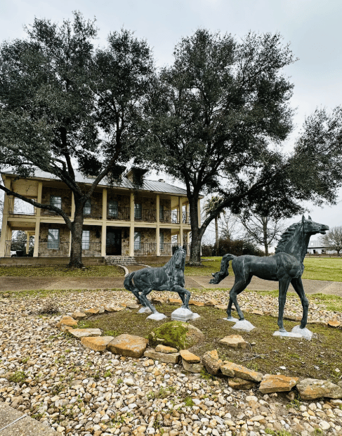 110 Heritage Trail Bellville, Texas 77418