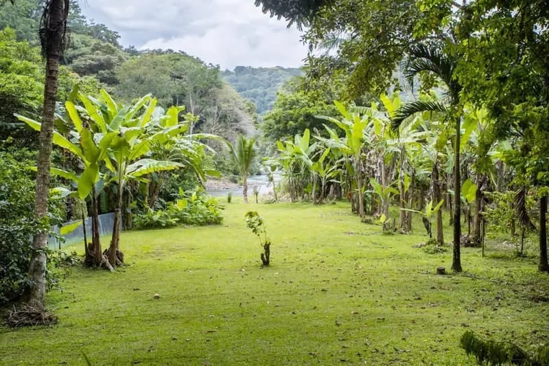 Rio Baru Riverfront Oasis