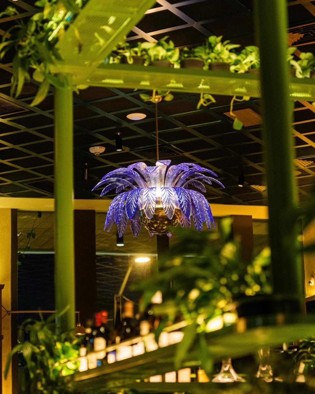 🍽️ Miami’s Dining Scene Heats Up: Ezio’s Opens in North Beach