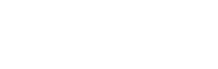 Light Logo