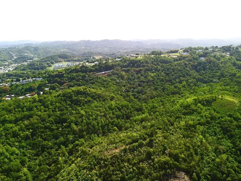 Carr 349 Km 1.01 Bo Quebrada Grande