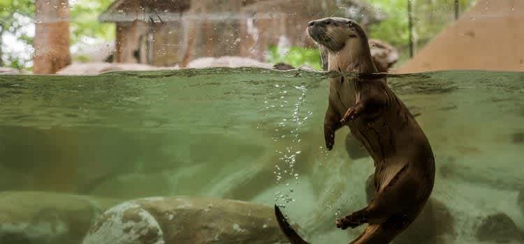 Bee’s Knees: Asheville Stuff We Dig!