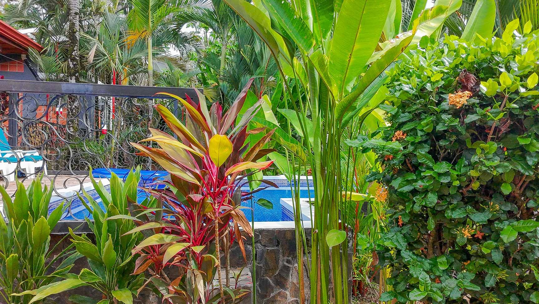 Ojochal Mountain View Home with Pool, Guest House & Gardens