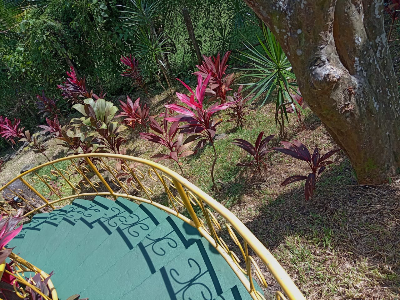 M. A. Ocean View Apt.