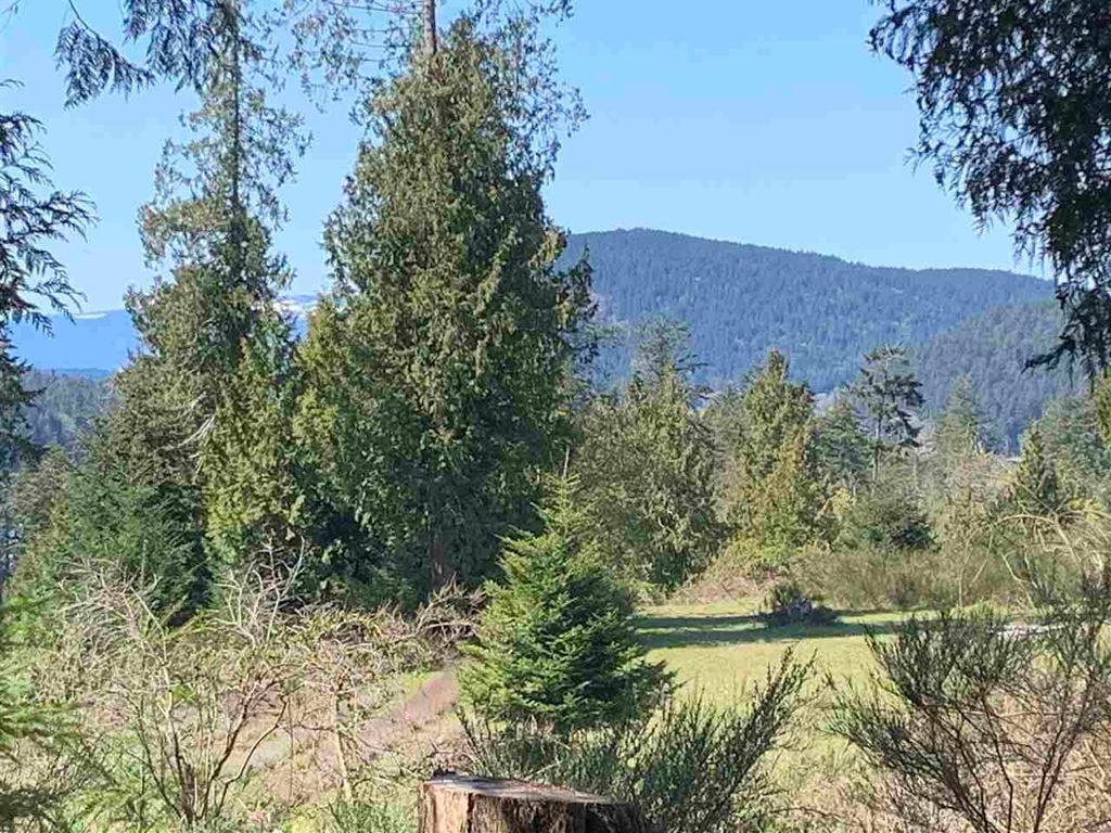 413 Campbell Bay Rd