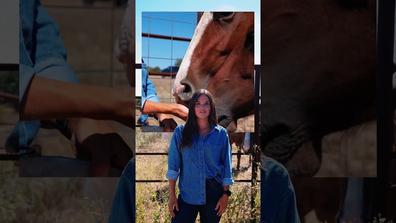 🚜 46.23 Acres of Freedom in Caldwell County!