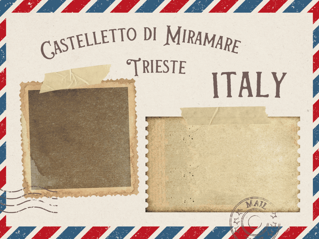July Newsletter