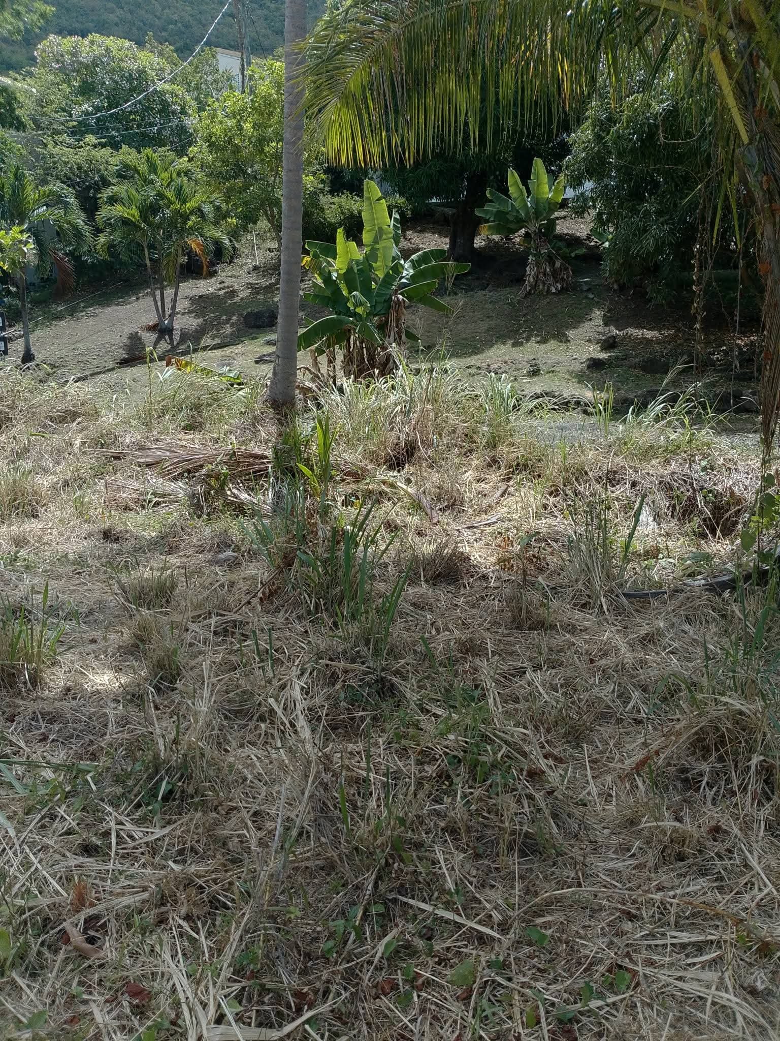 1137 Land for Commercial Lease
