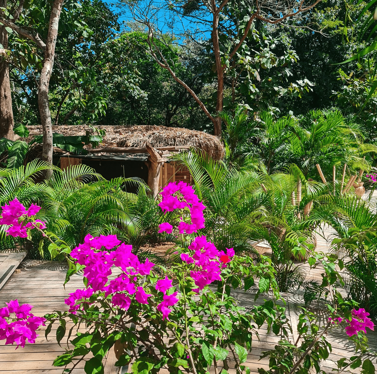 Sibou Spa & Wellness Center