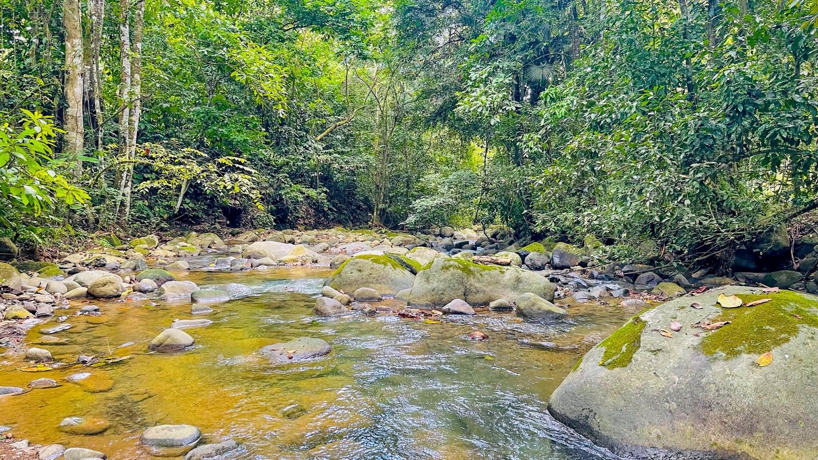 COSTA RICA LAND FOR SALE | LARGE FLAT PRIVATE PROPERTY WITH MOUNTAIN VIEWS, RIVER & FRUIT TREES