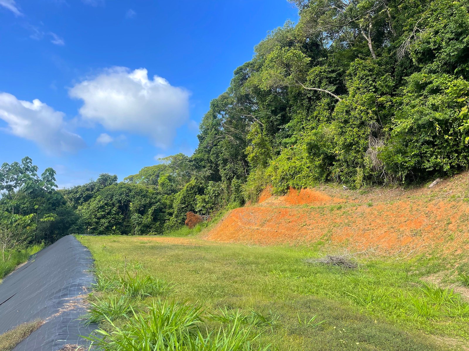 30-ACRES OF LAND WITH RIVER ACCESS, ROADS, AND BUILDING PADS IN LAGUNAS