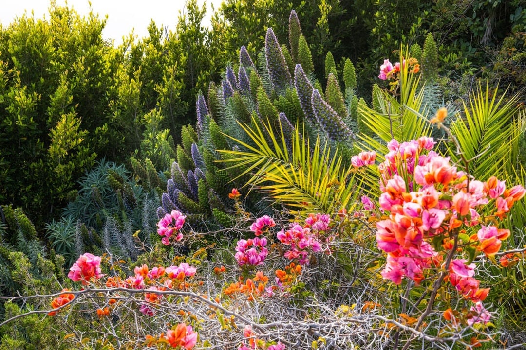 Carbon Canyon Rd, 90265