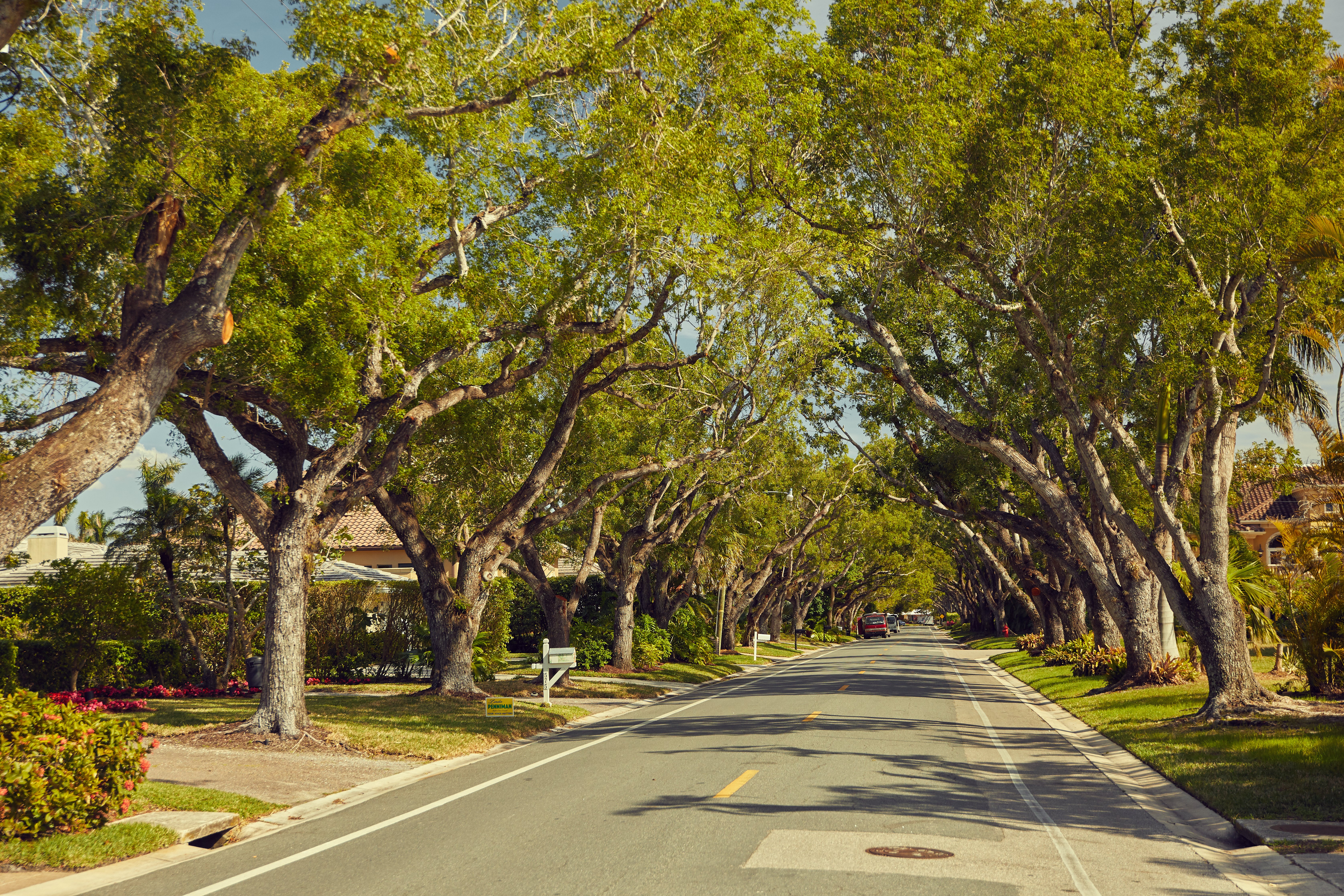 Interior lot estate, Aqualane Shores