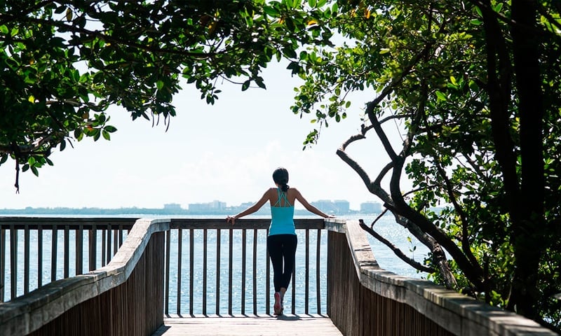 Arbor Coconut Grove